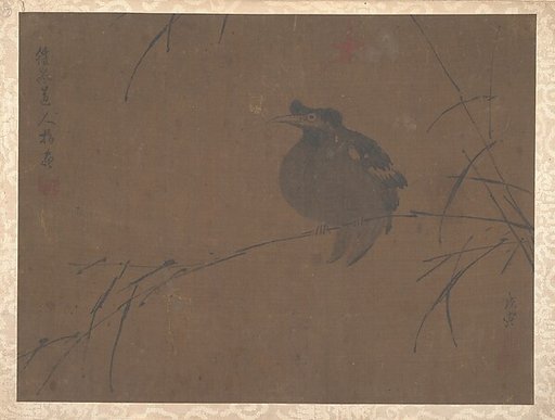 Mynah on Reed