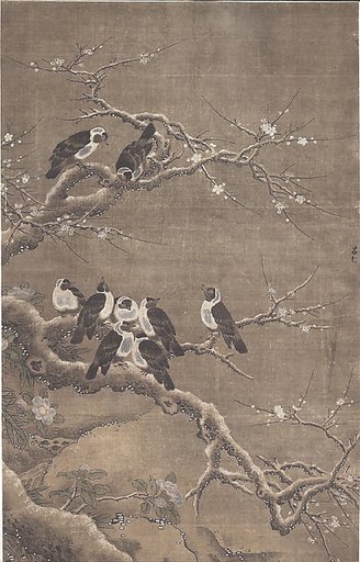 Collared Crows on Winter Prunus