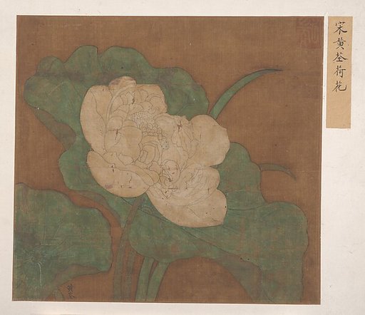 Lotus