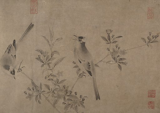 Chinese bulbuls on flowering crab apple