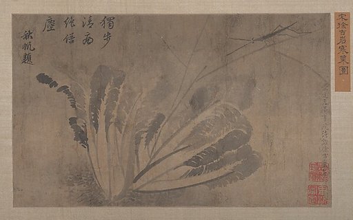 Cabbage and Insects