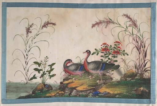 Album Containing Twelve Paintings of Birds
