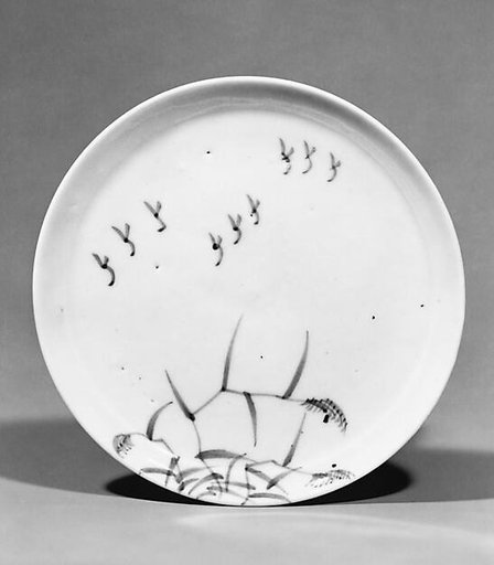 Dish