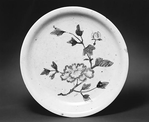 Dish