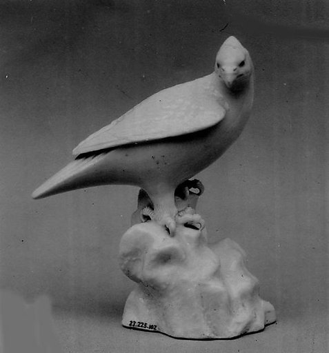 Eagle on rock