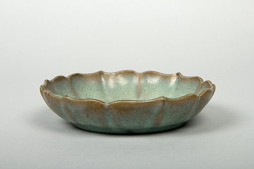Dish