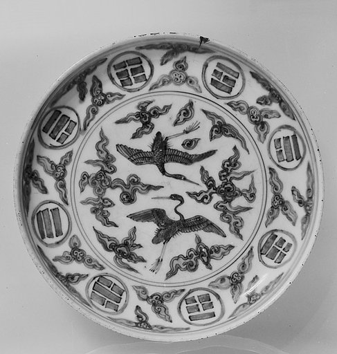 Dish