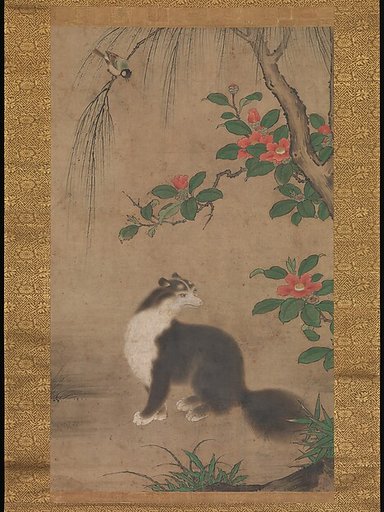 Musk Cat