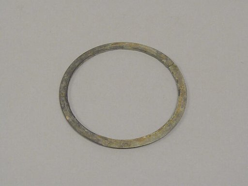 Bangle with Circular Motifs