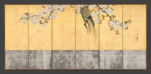 Blossoming Cherry Trees