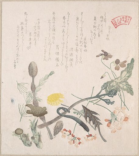 Violets, Primroses and Other Spring Flowers