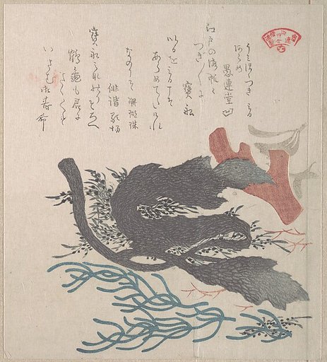 Various Seaweed
