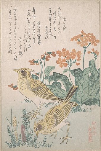 Skylarks and Primroses,” from the Series An Array of Birds (Tori awase), from Spring Rain Surimono Album (Harusame surimono-jō, vol. 3)
