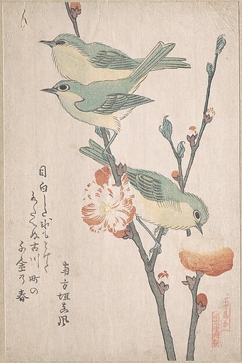 Japanese White-eyes on a Branch of Peach Tree,” from the Series An Array of Birds (Tori awase), from Spring Rain Surimono Album (Harusame surimono-jō, vol. 3)