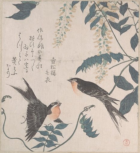 Swallows and Wisteria
