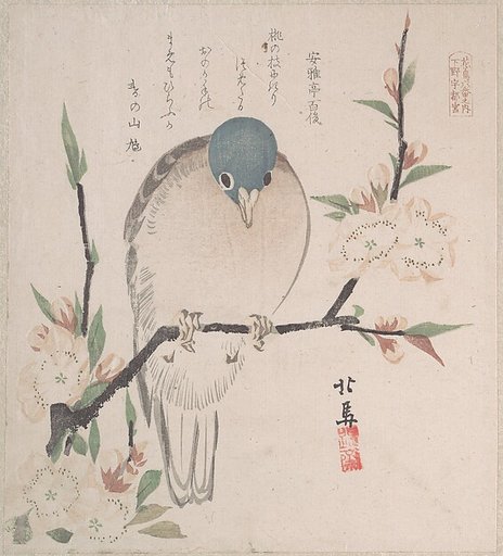 Spring Rain Collection (Harusame shū), vol. 3: Mountain Dove and Peach Flowers