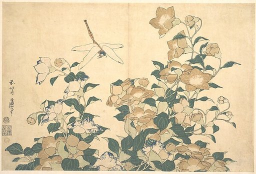 Dragonfly and Bellflower