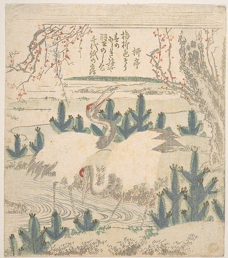Cranes Among Young Pines Near a Stream