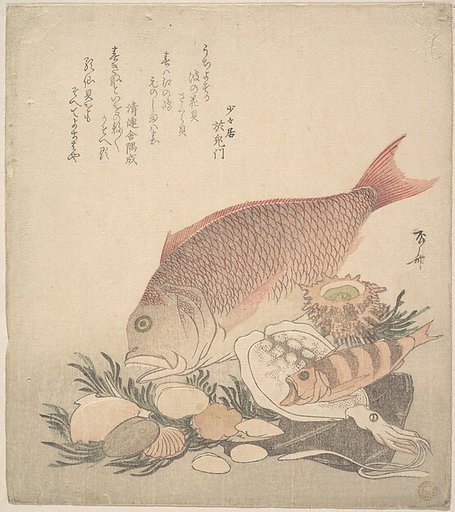 Large and Small Fish Swimming Among Shells and Moss at the Bottom of the Sea