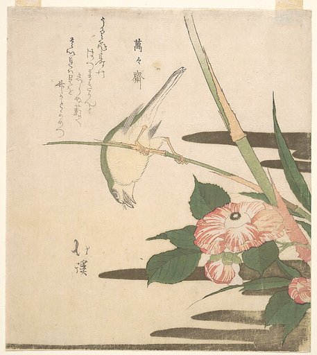 Warbler and Camellia