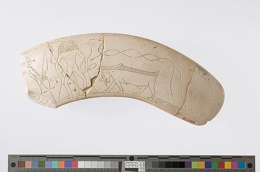 Magic Wand fragment