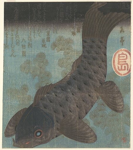 Carp and Pine