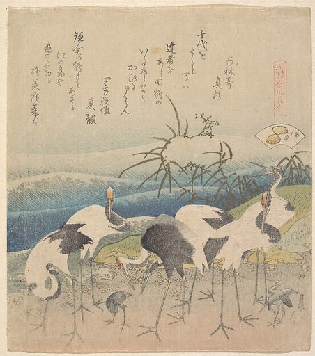 Ashi Clam, from the series "Genroku Kasen Kai-awase"