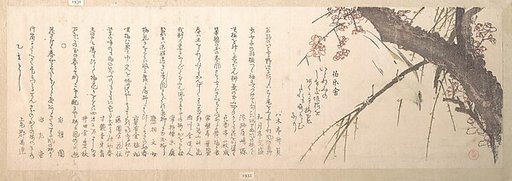 Plum Blossom