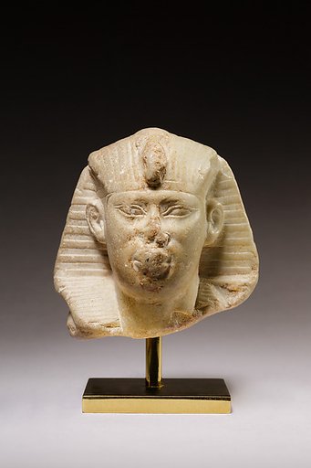 Head of king Amasis from a sphinx