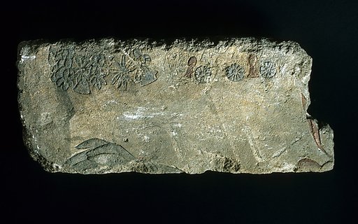 Relief of kiosk interior