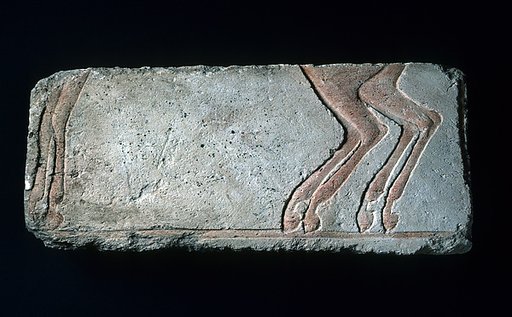Relief horses' legs