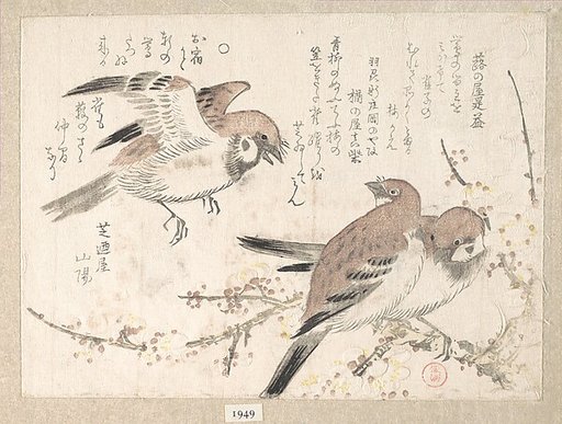 Sparrows and Plum Blossoms