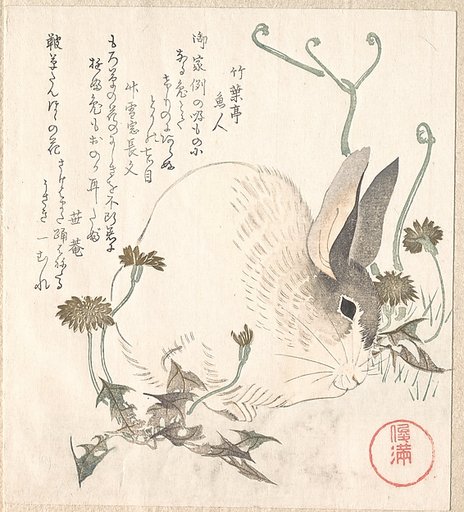 Hare and Dandelion?