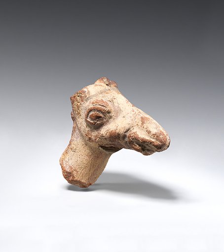 Head from the figure of a camel