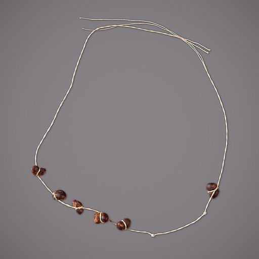 String of 8 kidney-shaped seeds