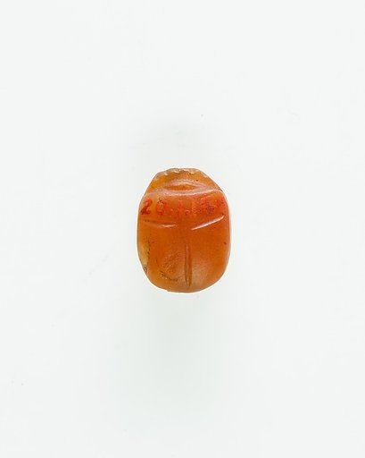 Scarab Decorated with Crossing Lines