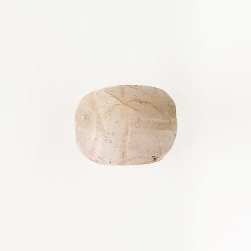 Scarab