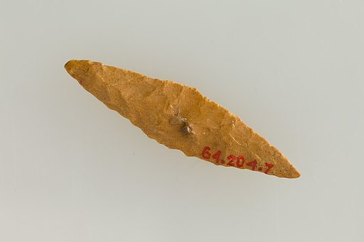 Projectile Point