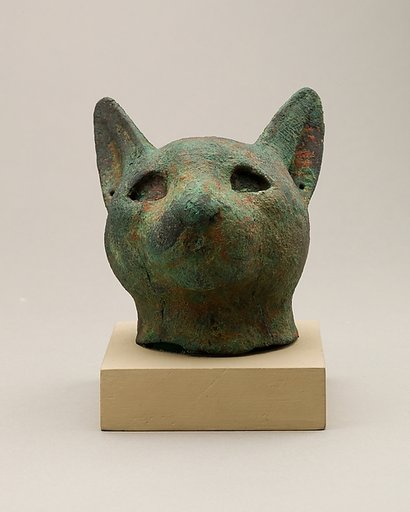 Head of a cat