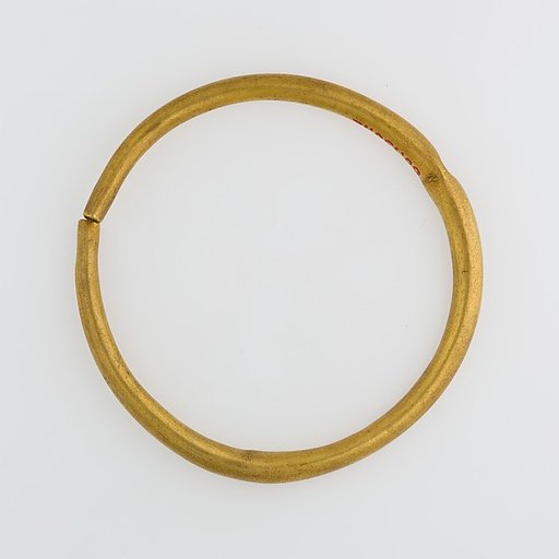 Hoop Earring