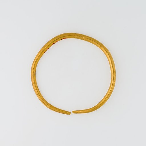 Hoop Earring