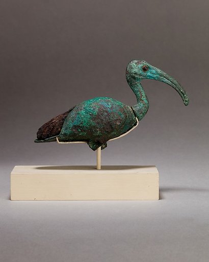 Ibis