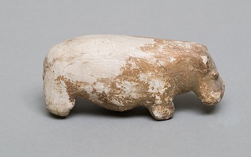Hippopotamus