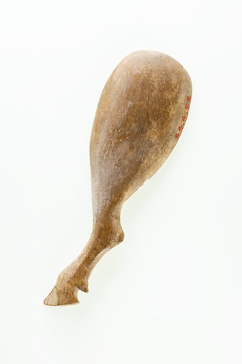Ox leg dish