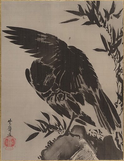 Crow on a Rock