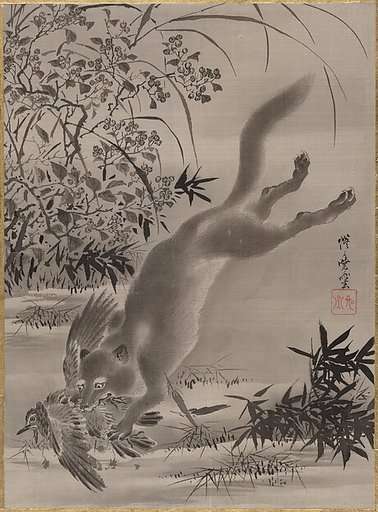Fox Catching Bird