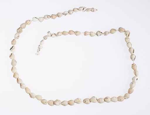 Hepy, String of periwinkle shells