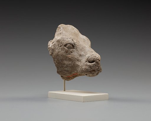 Calf's head