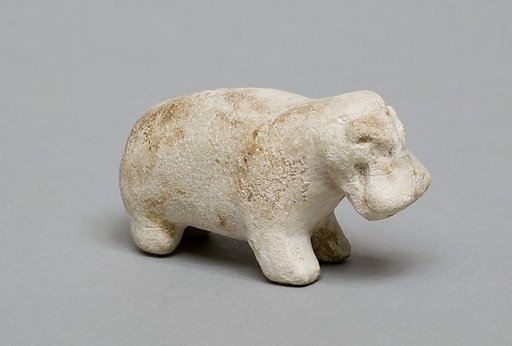 Hippopotamus
