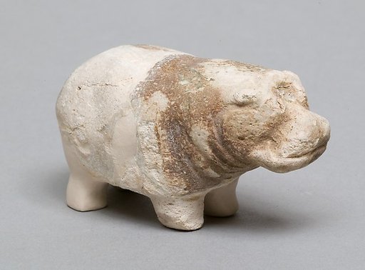 Hippopotamus